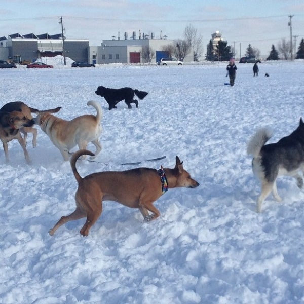 Airport Dog Park Nokomis 617 ziyaretçidan 16 tavsiye