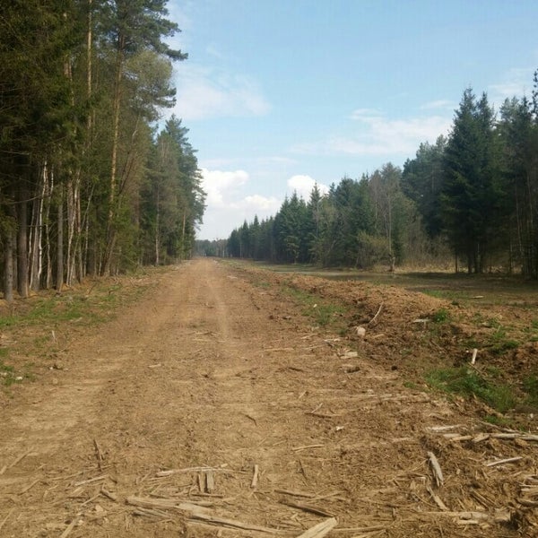 Малые вяземы одинцовский район. Усадьба вяземы, захарово вяземы. Малые вяземы, шоссе петровское. Малые вяземы подкова. Историко-литературный музей-заповедник а с пушкина.
