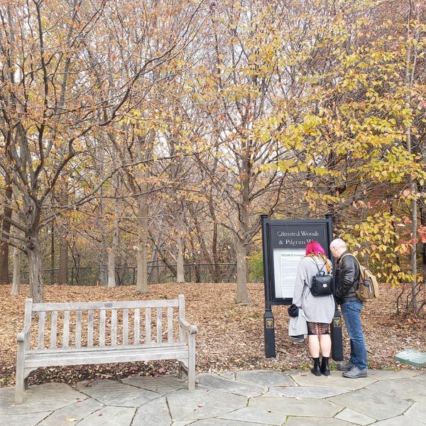 Woodley Park Neighborhood