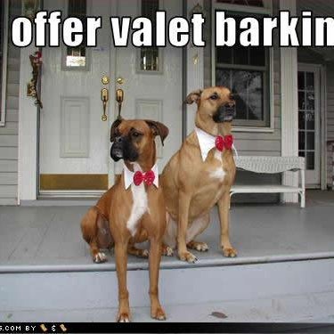 Photos At Noah S Ark Veterinary Boarding Resort Pet Service In