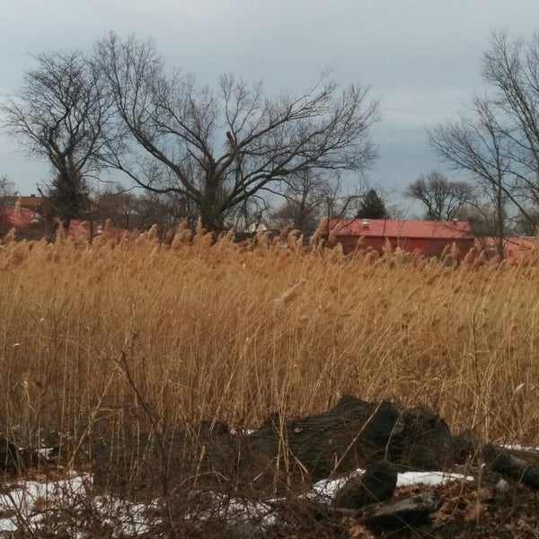 3/2/2014 tarihinde Lisa N.ziyaretçi tarafından Ft. Totten Army Base'de çekilen fotoğraf
