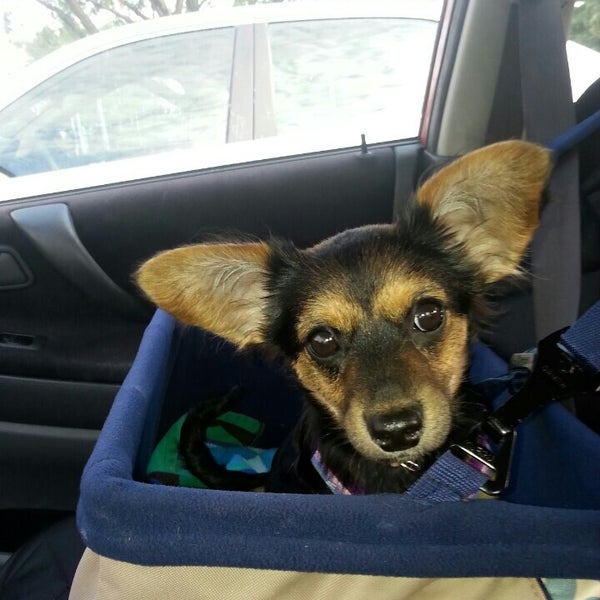 Photos at Kentucky Humane Society East Campus Animal Shelter in