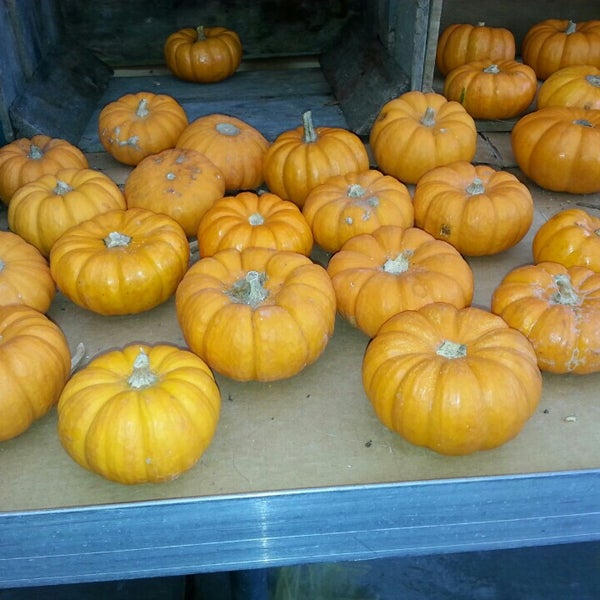 Paul's Fruit Market East Louisville 6 tavsiye'da fotoğraflar