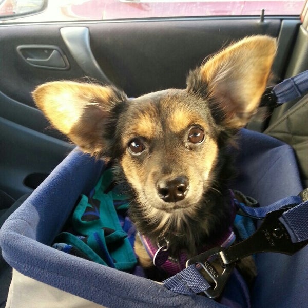 Photos at Kentucky Humane Society East Campus Animal Shelter in