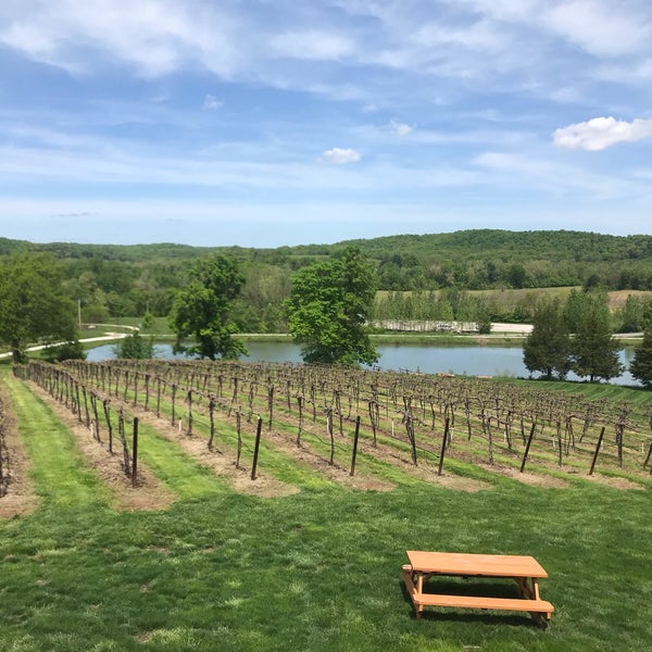 Foto tirada no(a) Chandler Hill Vineyards por Michelle M. em 5/4/2019