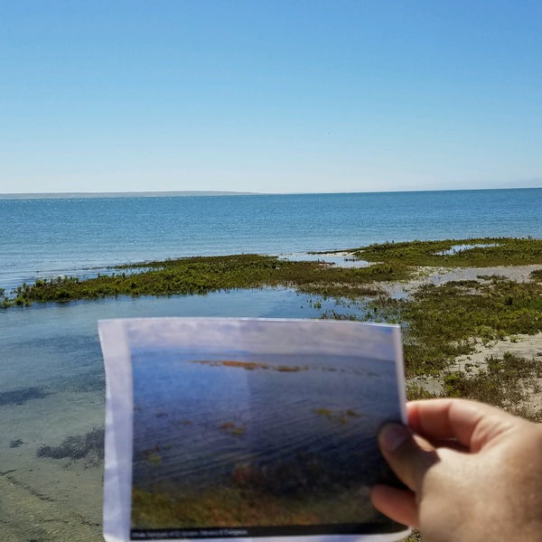 Ojo de liebre lagoon. Ojo de liebre lagoon