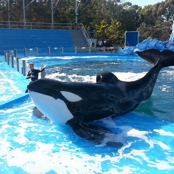 Mundo Marino Aquarium in San Clemente del Tuyú