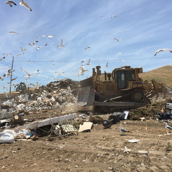 Dump location. Dump location
