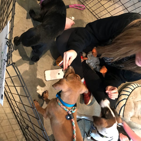 For Paws Pet Store in Portland