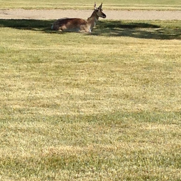 Casper Municipal Golf Course - Golf Course