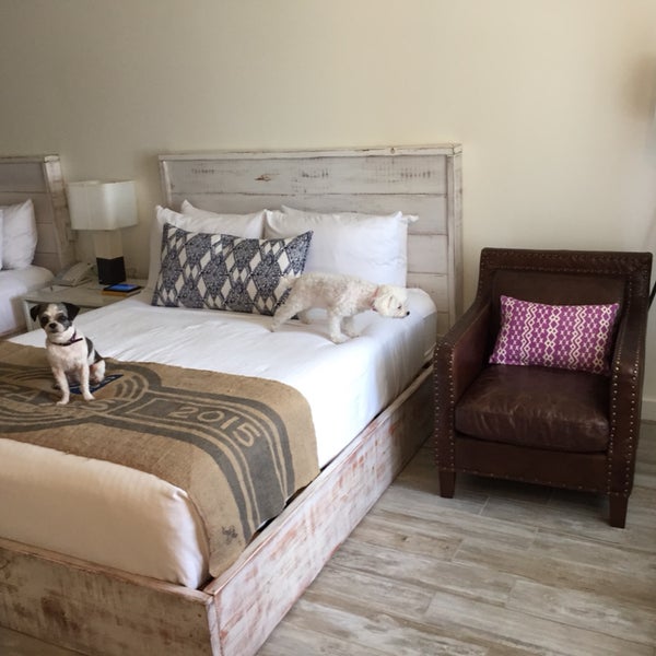 Amazing place! We really enjoyed our stay here...they loved our dogs and they got a gift for staying at The Gates:) clean, neat beautiful bungalow style large rooms! Starbucks Coffee ...GREAT STAFF!