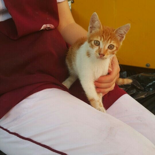 Fotos en Lider Catering - Tekirdağ, Tekirdağ