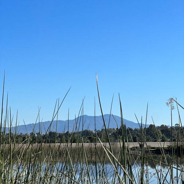 1/6/2024에 Jason L.님이 IRWD San Joaquin Marsh &amp; Wildlife Sanctuary에서 찍은 사진