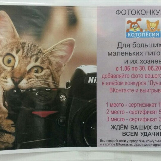 Котопесия блог. Котопёсия зоомагазин. котопесия дзен. котопёсия зоомагазин на севастопольском. котопёсия зоомагазин официальный сайт.