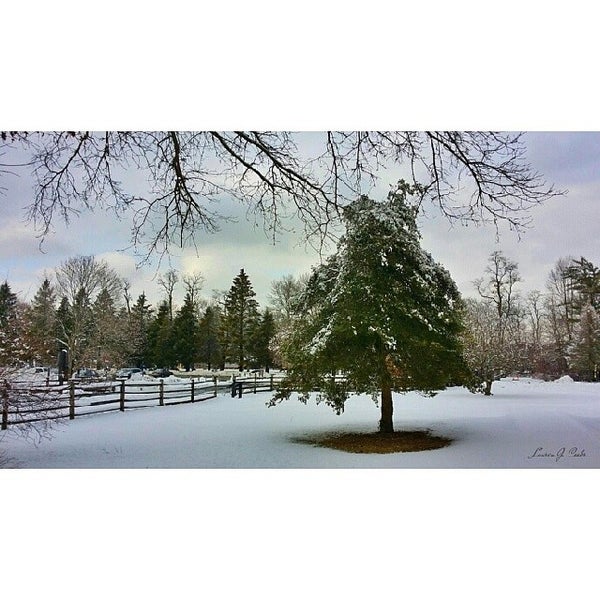 Photo taken at The Historic Village at Allaire by Lauren C. on 2/11/2014
