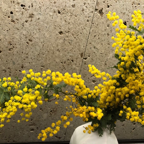 Photos At 日比谷花壇 銀座松屋店 銀座 銀座3 6 1