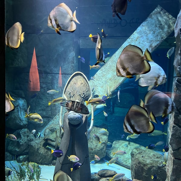 Das Foto wurde bei The Lost Chambers Aquarium von Azita Z. am 3/29/2024 aufgenommen