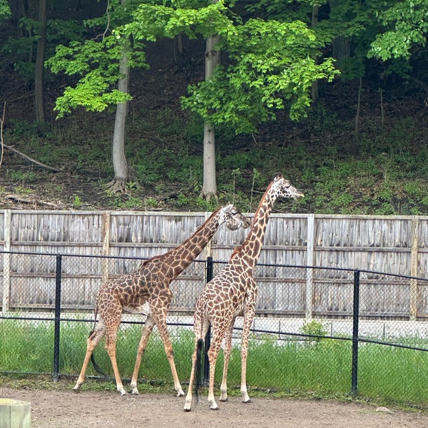 Photo taken at Seneca Park Zoo by Cari on 5/18/2024
