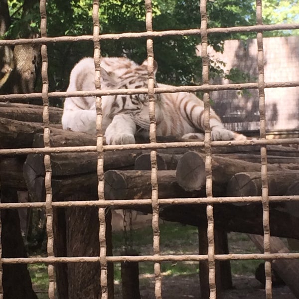 Foto Di Xantus Janos Allatkert Kebun Binatang