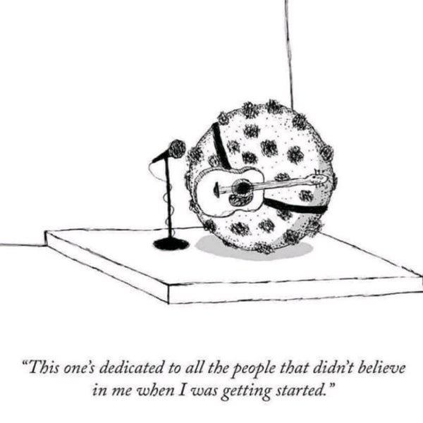 Food Lion Grocery Store Summerville, SC