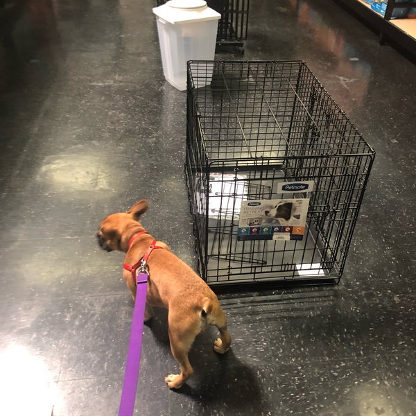 Photos at Global Pet Food Outlet Torrance, CA