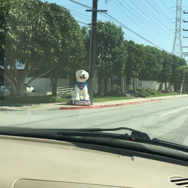 Photos at Global Pet Food Outlet Torrance, CA