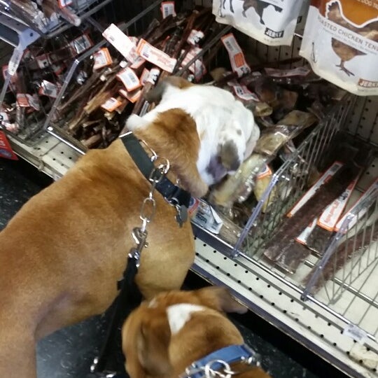 Photos at Global Pet Food Outlet Torrance, CA