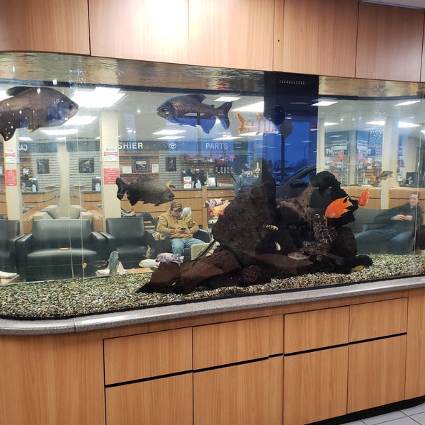 Maplewood Toyota Car Dealership in Maplewood Oakdale