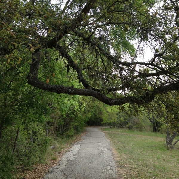 Blossom Park Far North Central 2 tips