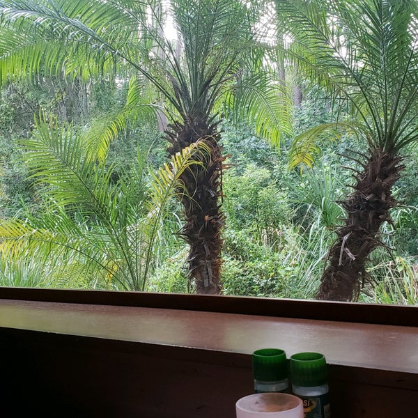 Bonefish Grill Tampa, FL