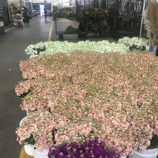 รูปภาพถ่ายที่ SF Flower Mart โดย Johanna S. เมื่อ 11/5/2018
