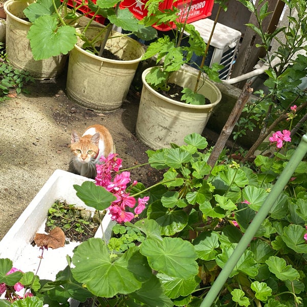 Photos At 地魚三昧の店 しょうとく丸 真鶴 1 Tip