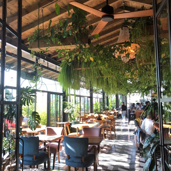 Minoa Village Akat 815 ziyaretçidan 12 tavsiye