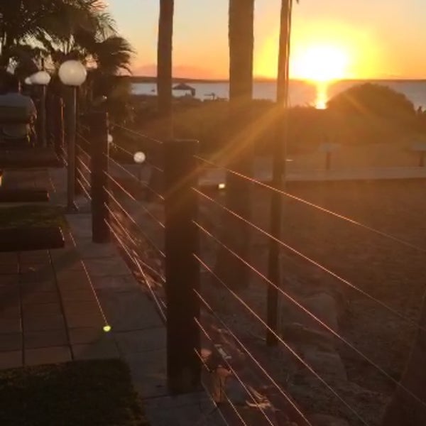 Wonderful sunset beach with dolphins swim around feels like heaven