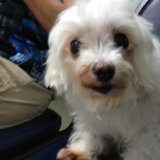 Newman Veterinary Center Veterinarian in Deltona Lakes