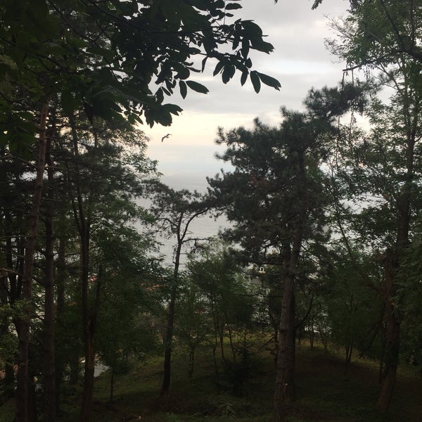 Giresun Belediyesi Sosyal Tesisleri Kale Restaurant in Kale