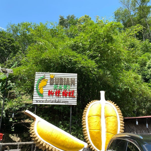 Cap Kaki Durian - 5 tips