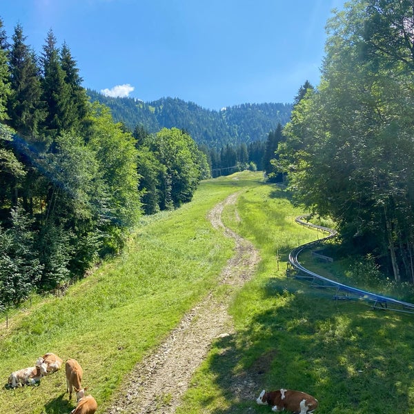 Трасса Alpine Coaster
