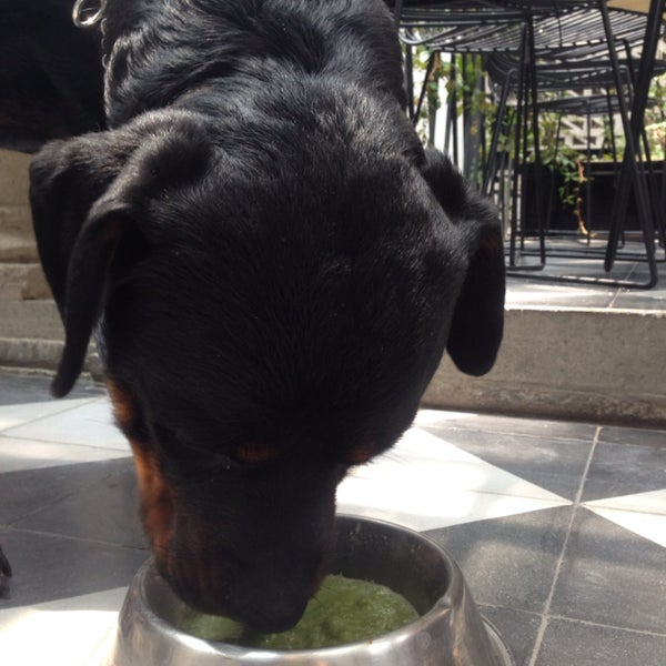 Pidan el "woof" para sus perros! Kale platano chia y agua