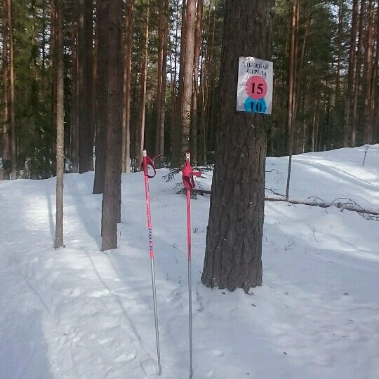 Лыжная трасса Орехово Зуево