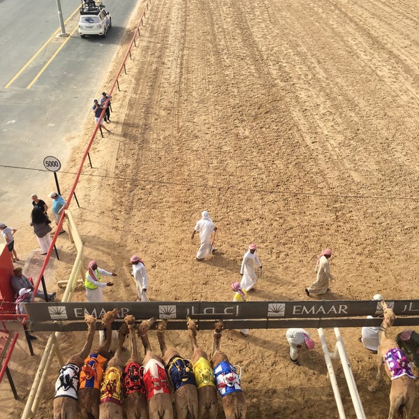 Cama Racing Club Dubai Camel Racing Club نادي دبي لسباقات الهجن