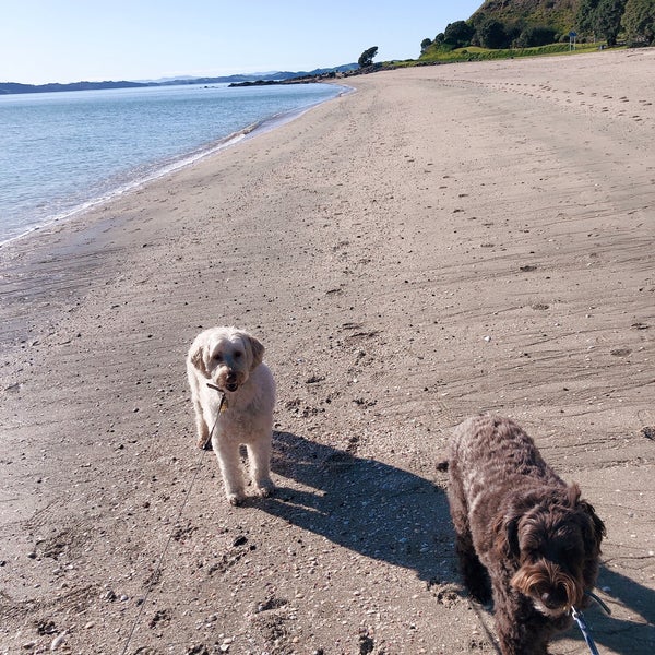 Maraetai Beach Beach