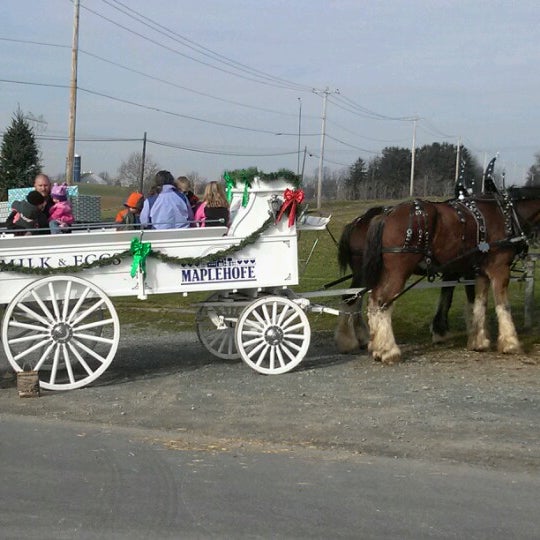 Photo taken at Maplehofe Dairy by Sharon S. on 12/15/2012