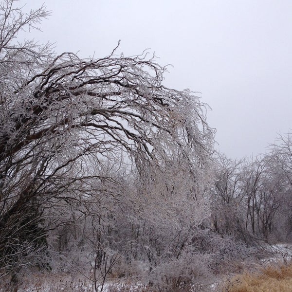 Abbot Road Park - East Lansing, MI