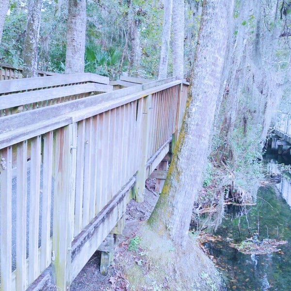 Blue Springs Swimming Dock Hot Spring in Orange City