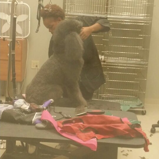 Animal House Pet Hotel & Spa Midtown 4 tips