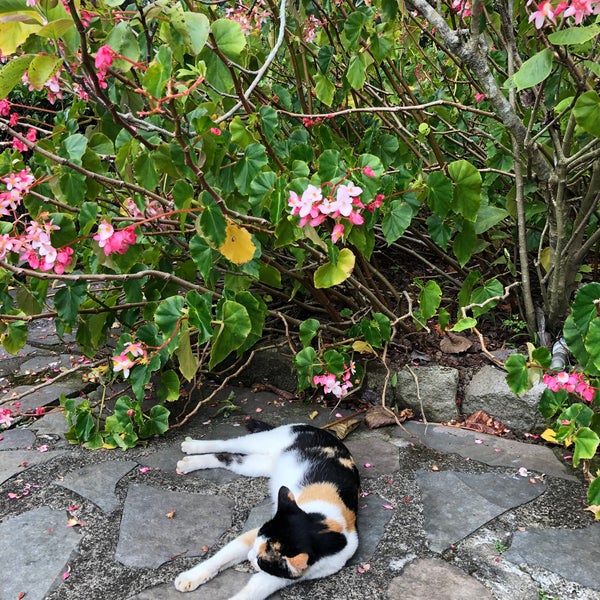 Photos at Kebun Mawar Situhapa - Jl. Raya Kamojang KM 5