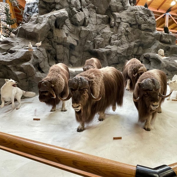 Cabela's Triadelphia, WV