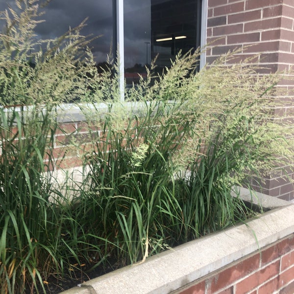 Walmart Supercenter Whitehall, OH