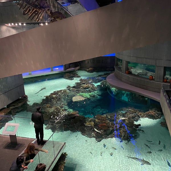 Foto tirada no(a) National Aquarium por Bridget_NewGirl em 10/28/2022
